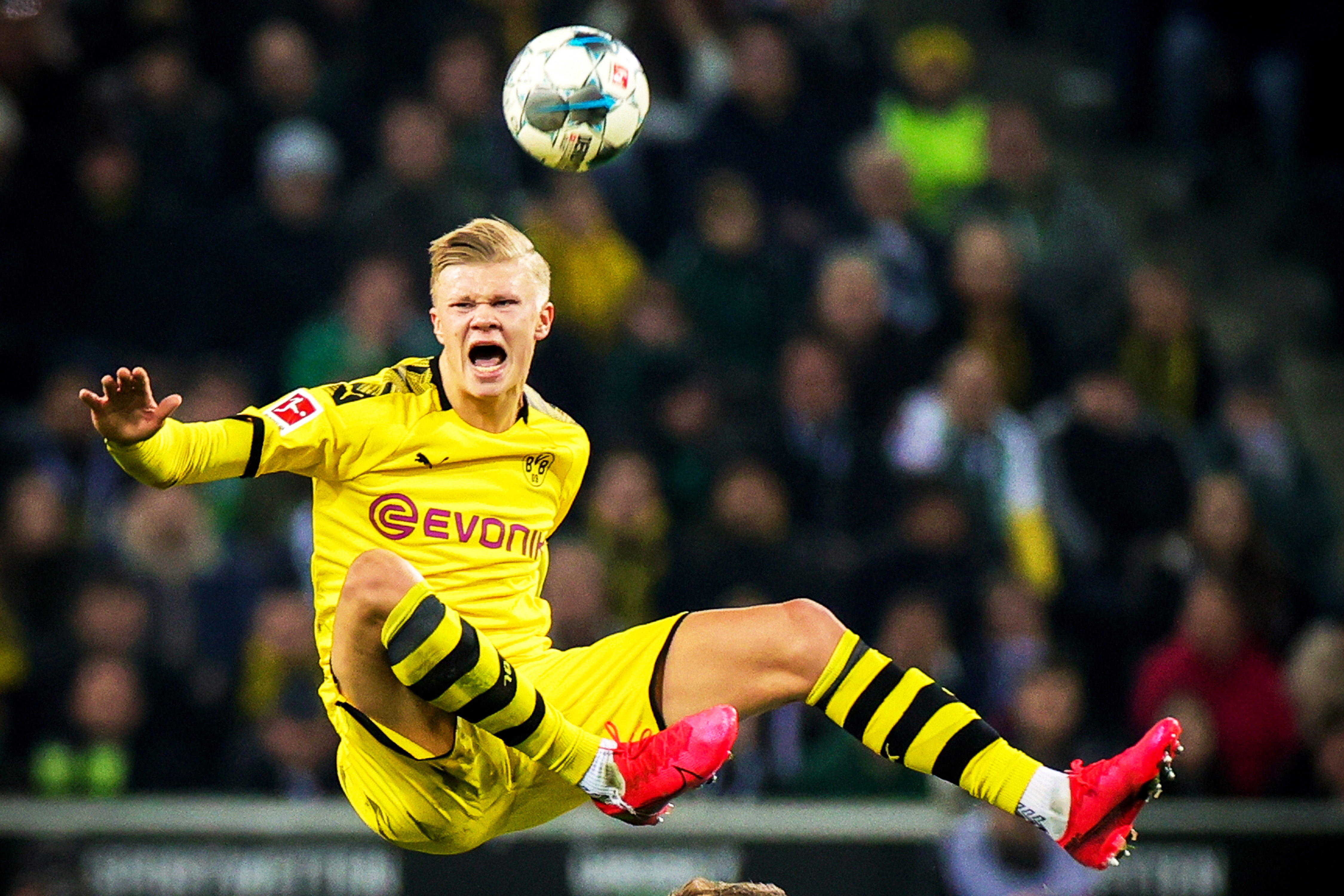 禁區戰成決 禁區戰成決